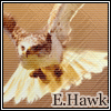 E.Hawk's Avatar